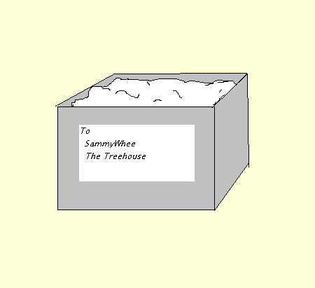 Sammys box of snow