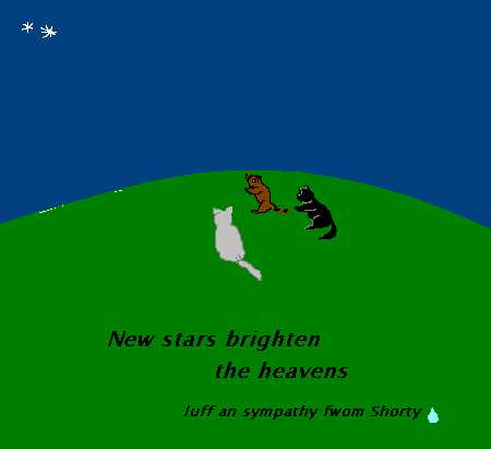 New Stars
