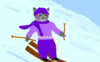 ski kitty