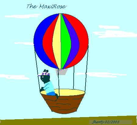 the MaxiRose