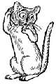 cat 7