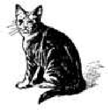 cat 9