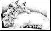 cat wit kittens