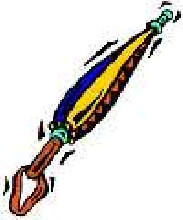 shortys parasol