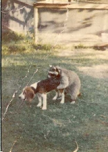 worst huntin dawg