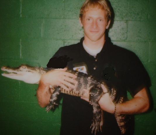 alligator