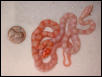 Hatchlings