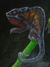 Original Oil Painting Panther chameleon