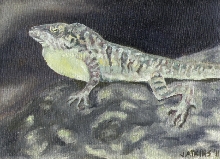 Anole lizard original oil painting
