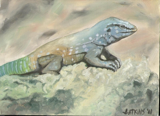 Ameiva tropical lizard oil painting