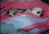 rosie and fynn hiding