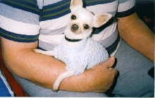 Fynn sweater 1