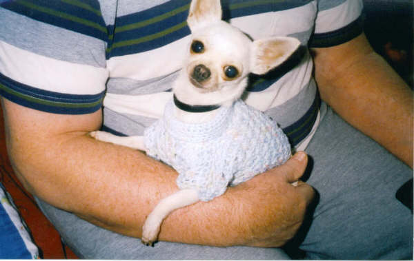 Fynn sweater 1