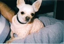 Fynn sweater 3