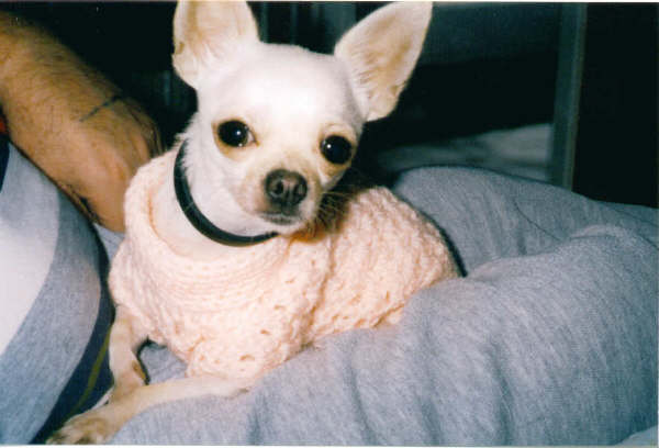 Fynn sweater 3