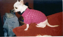 Fynn sweater 2