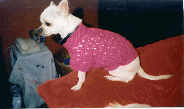 Fynn sweater 2