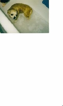 Sully bath time
