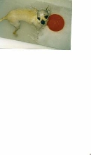 Fynn bath time