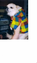 Sully coat many colours