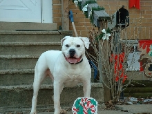 SPANKY !!