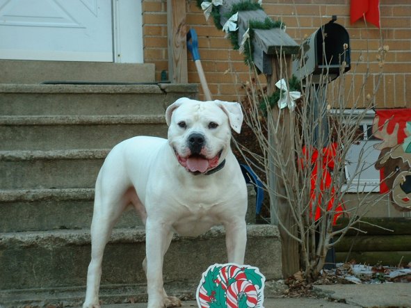 SPANKY !!
