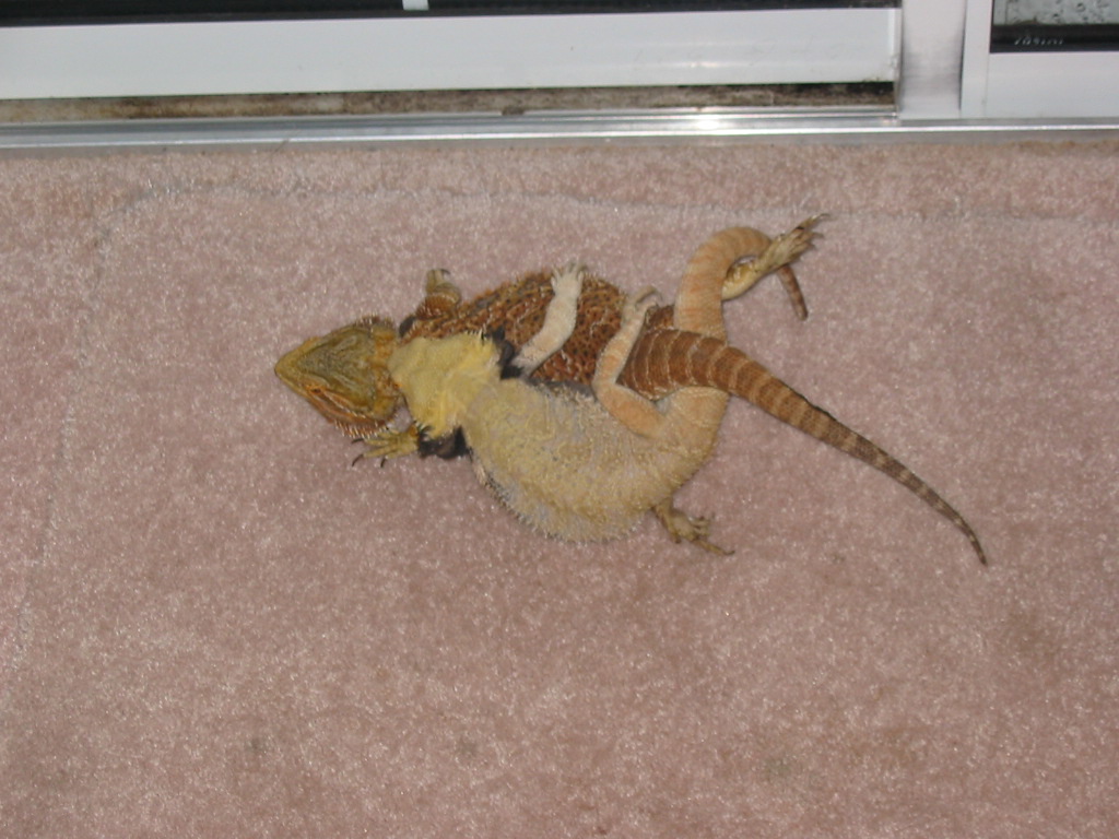breeding