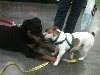 Jasmine and her friend Reggie