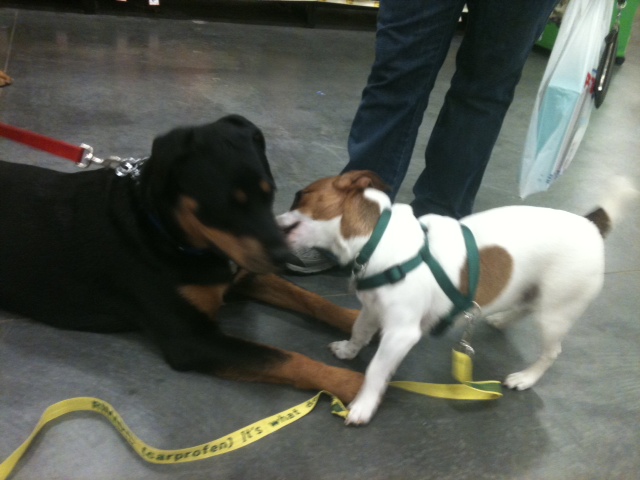 Jasmine and her friend Reggie