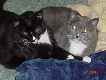 Bennyman & Otiman