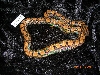 prb 02