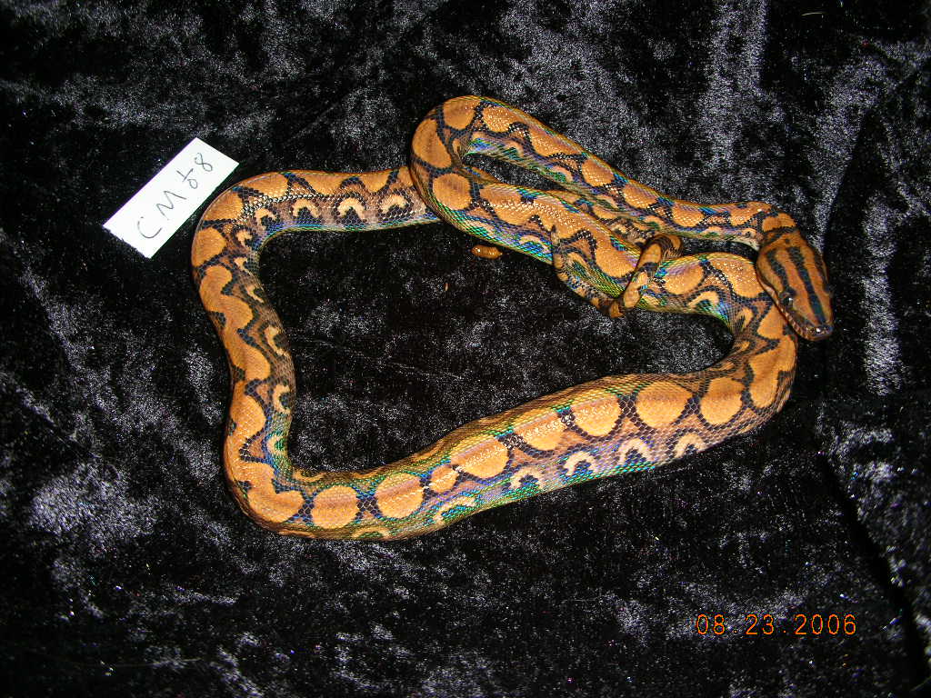prb 02