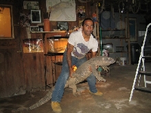 possible worlds largest blackthroat