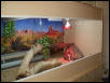 nile enclosure