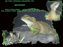 mushu memorial