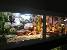 uro cage