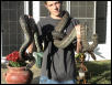 crpt python