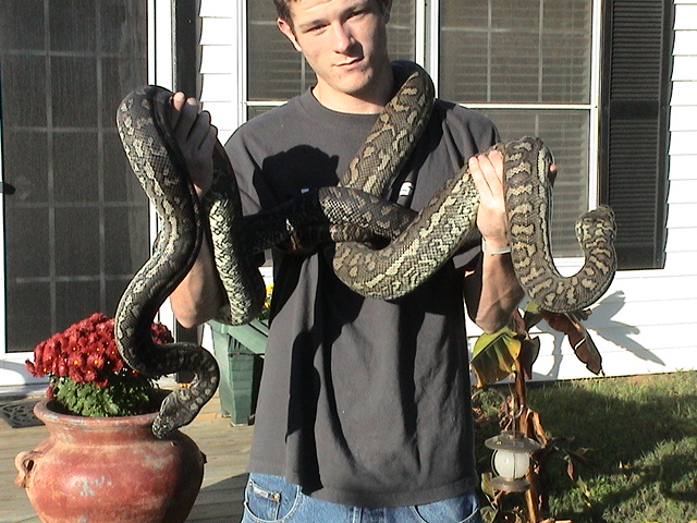 crpt python