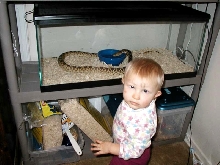 Future snake keeper