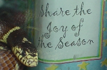joy to the king