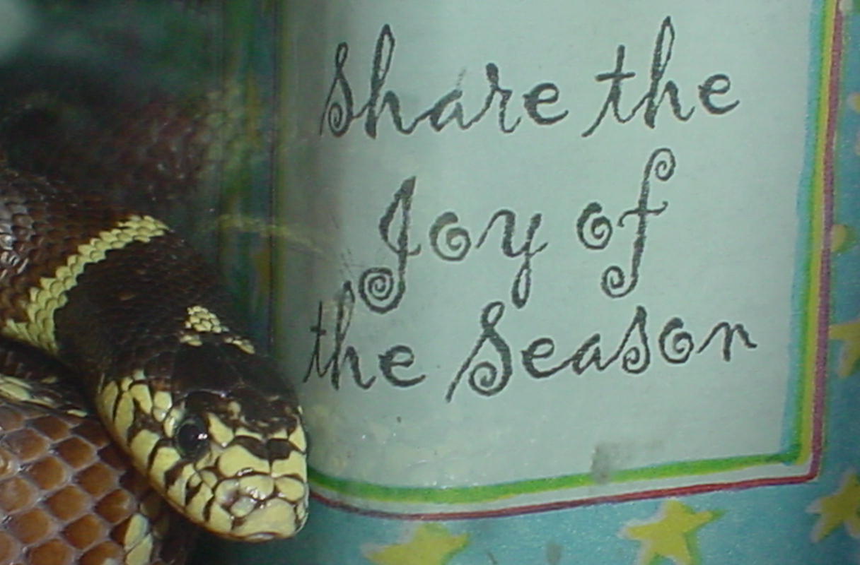 joy to the king
