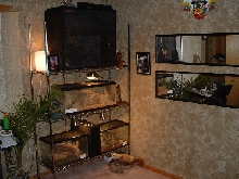 My reptile tanks