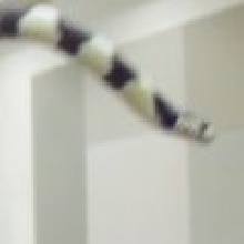 Houdini