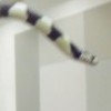 Houdini
