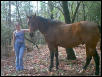 Regal Red & Me
