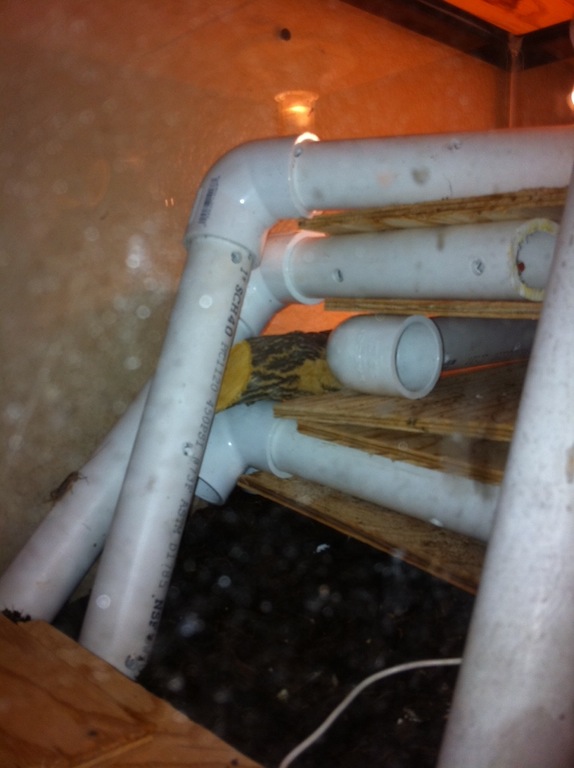 Tubes