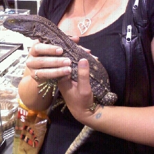 Little Foot My Black Throat Monitor