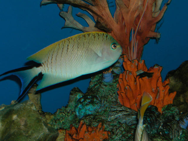 Saltwater Photos
