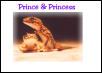 Pictus