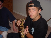 Friend with Het. Albino